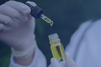 Your employee just disclosed a cannabis prescription. Now what?