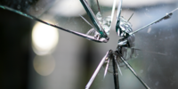 Insurers Report Increase in Unwanted Tenants Occupying Business Sites
