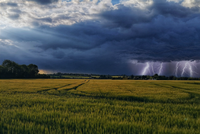 Business Continuity Planning in response to the UK's changing climate