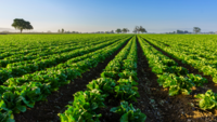 6 Risks the food and drink industry faces