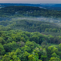 Setting course for Green Hydrogen