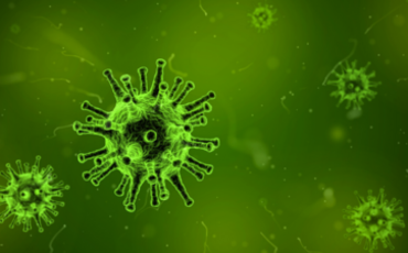 Coronavirus Guide