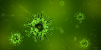 The Impact of Coronavirus on Your Employee Benefits