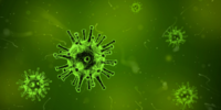 Coronavirus Guide 