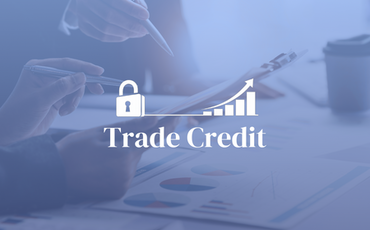 Trade Credit Insurance & Funding Capacity