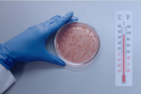 When a small temperature change creates a major loss: Why life science companies need the right insurance