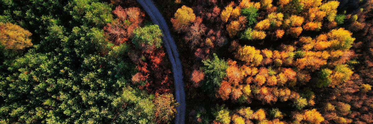 How UK Businesses Can Strengthen Business Continuity Planning Against Climate Risks