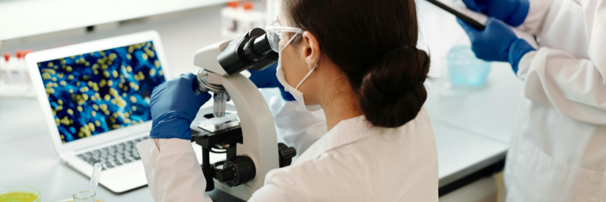 Information Technology Cyber in life sciences insurance